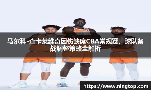 马尔科-查卡莱维奇因伤缺席CBA常规赛，球队备战调整策略全解析